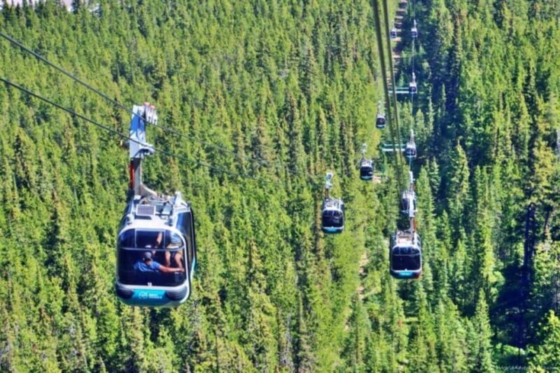 Louise Louise, Banff Gondola, Minnewanka & Emerald Lakes - Good To Know