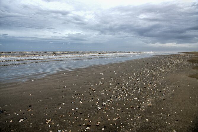 Louisiana Creole Nature Trail Self-Guided Audio Driving Tour - Good To Know