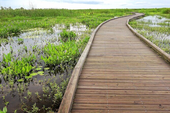 Louisiana Creole Nature Trail Self-Guided Audio Driving Tour - An In-Depth Look at the Creole Nature Trail Self-Guided Tour