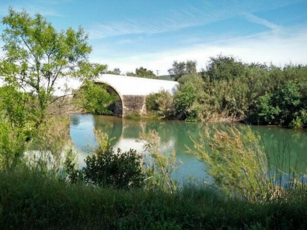 Loulé: Quinta Da Tôr Winery Guided Tour & Wine Tasting - The Sum Up
