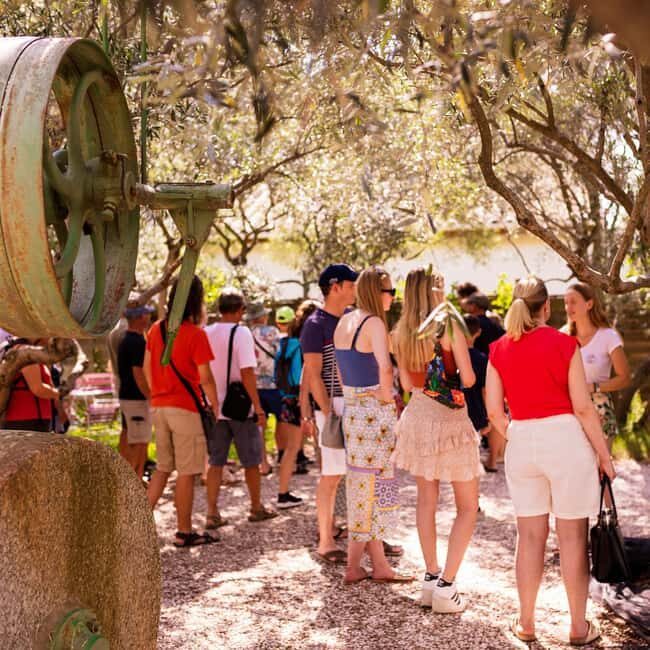 L'Oulibo oil mill: Guided tour - Who Should Consider This Tour?