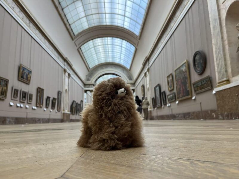 Louvre Museum Entry Ticket and Private Guided Tour - Good To Know