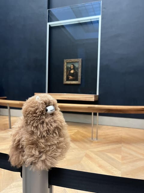Louvre Museum Entry Ticket and Private Guided Tour - Guided Tour Details