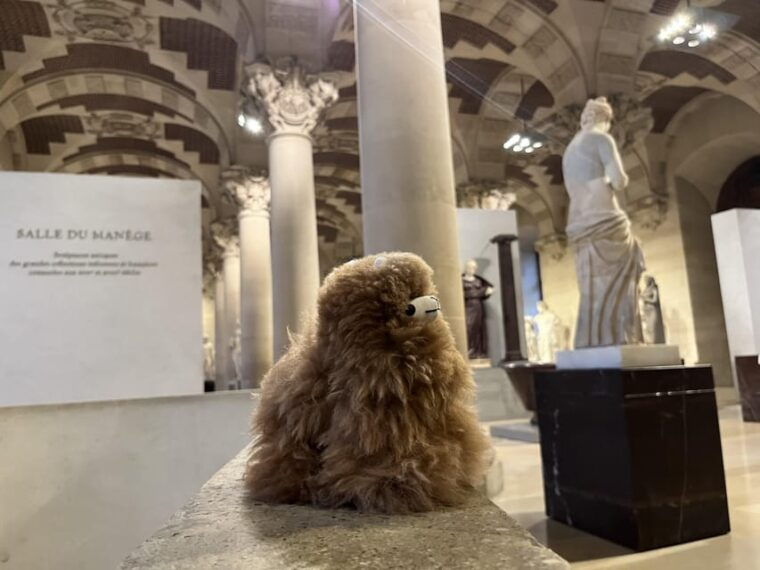 Louvre Museum Entry Ticket and Private Guided Tour - Visitor Information and Restrictions