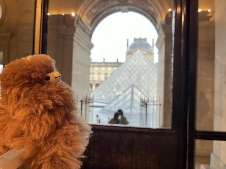 Louvre Museum Entry Ticket and Private Guided Tour - Customer Reviews and Ratings
