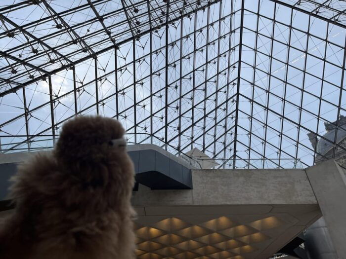 Louvre Museum Entry Ticket and Private Guided Tour - Tips for an Enjoyable Visit