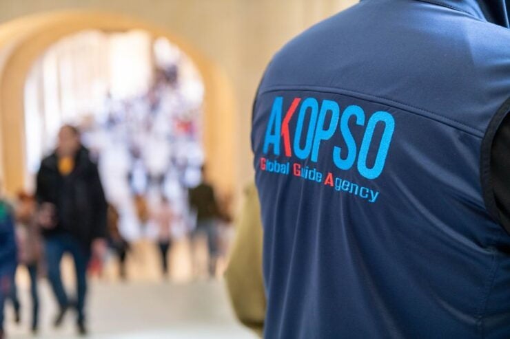 Louvre Museum Highlights: 2-Hour Private Guided Tour - Multilingual Guide and Accessibility