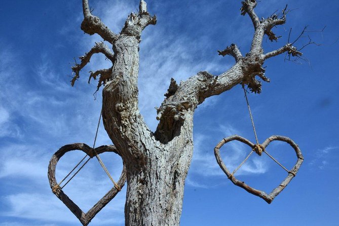 Love Lake Dubai Heart Shaped Lake in The Desert Dubai Tour Package - Common Questions