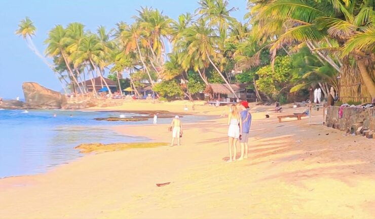 Love Sri Lanka - Luxury Tour - 06 Days - Good To Know