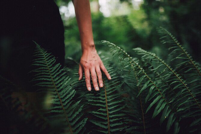 Love the Land Indigenous Walking Tour Capilano River Hatchery - Good To Know