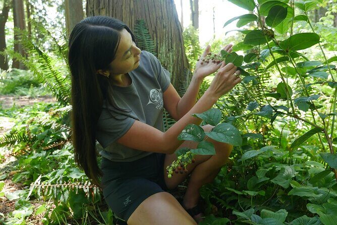Love the Land Indigenous Walking Tour Capilano River Hatchery - Introducing the Tour: What to Expect