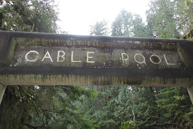 Love the Land Indigenous Walking Tour Capilano River Hatchery - Who Should Consider This Tour?
