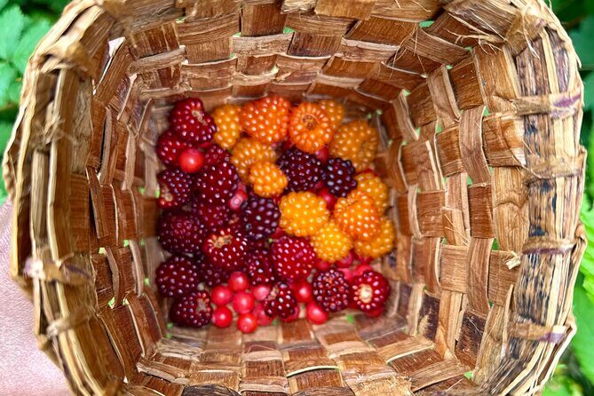 Love the Land Indigenous Walking Tour Capilano River Hatchery - Final Thoughts