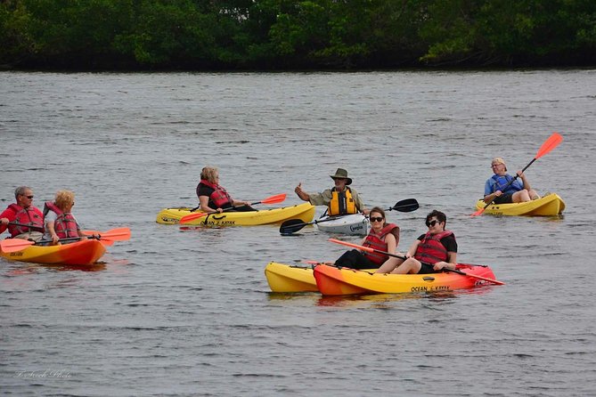 Lovers Key Guided Eco Tour-Mangrove Estuary - Overview and Experience