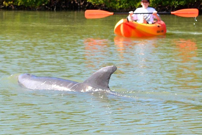 Lovers Key Guided Eco Tour-Mangrove Estuary - Inclusions and Equipment