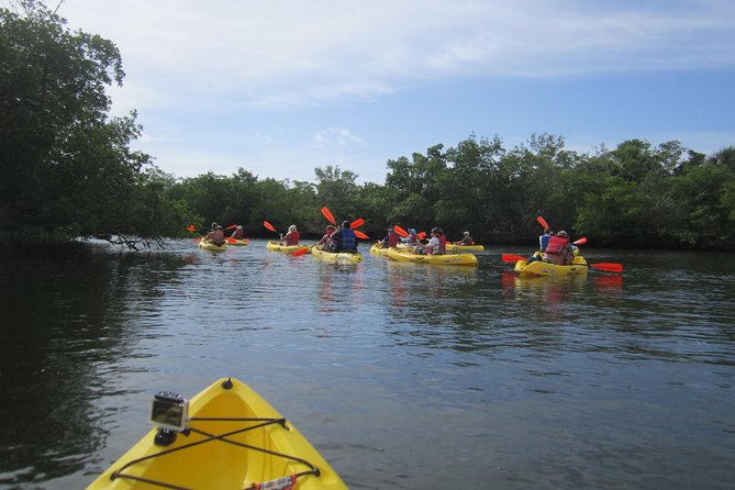 Lovers Key Guided Eco Tour-Mangrove Estuary - Historical and Cultural Insights