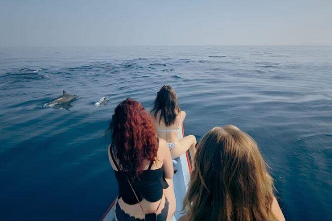 Lovina-Bali: Dolphin Watching & Snorkeling; Hot Spring - Dolphin Watching Experience