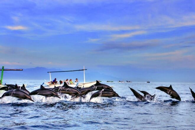 Lovina Bali: Dolphin Watching, Waterfall and Local Lunch - Scenic Itinerary Highlights