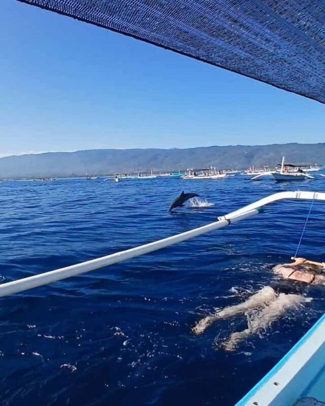 Lovina/BALI : SPECIAL Dolphin Watching,Swimming,Snorkeling - Who Would Love This Tour?