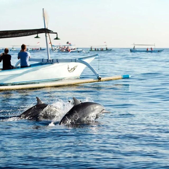 Lovina Beach: Sunrise Dolphin-Watching and Snorkeling Cruise - Good To Know