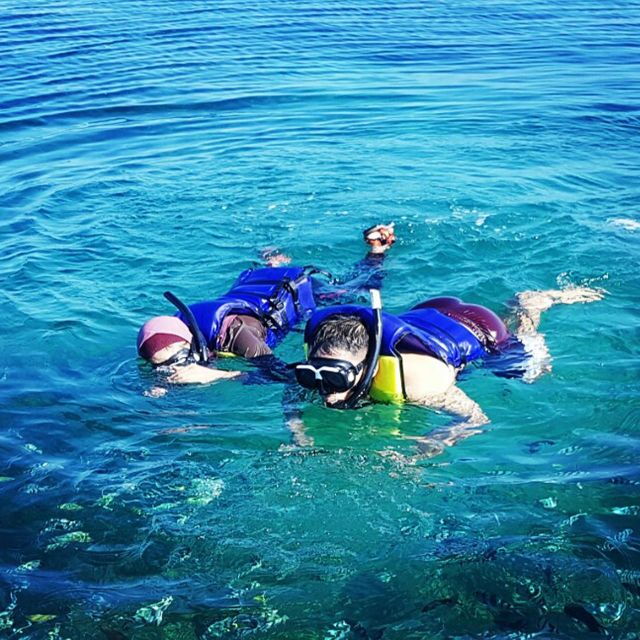 Lovina Beach: Sunrise Dolphin Watching & Snorkling Boat Tour - Activity Details