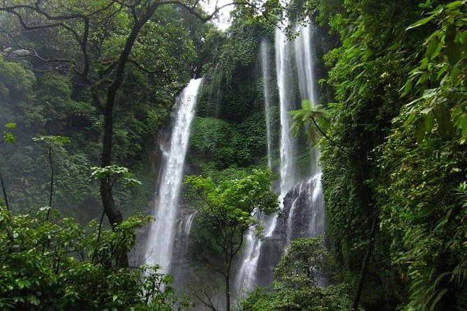 Lovina Beach, Twin Waterfalls, and Twin Gate Private Tour - Ubud - Tour Highlights