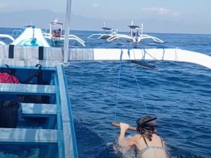 Lovina Dolphin and Snorkeling at Coral Reefs Tickets - Lovina Dolphin Tour Overview