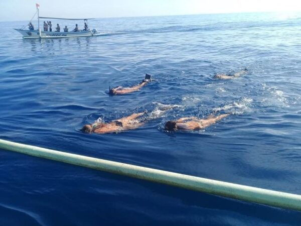 Lovina Dolphin and Snorkeling at Coral Reefs Tickets - Lovina and Northern Bali Highlights
