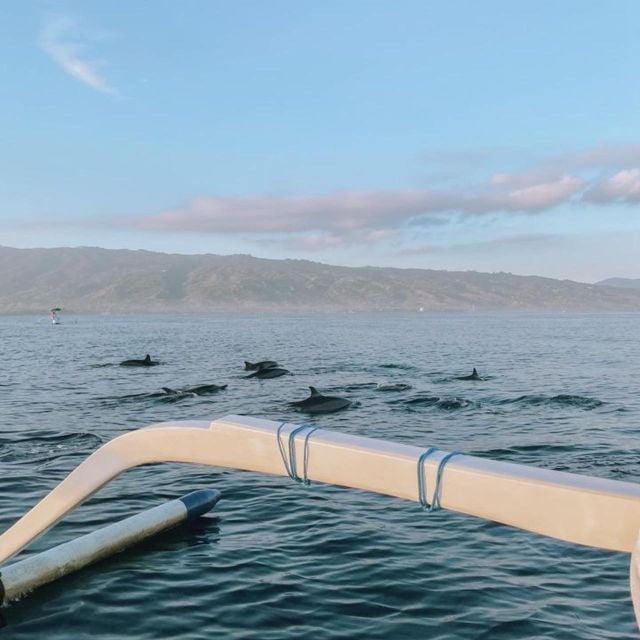 Lovina Dolphin Wacthing Sunrise & Snorkeling Tour - Good To Know