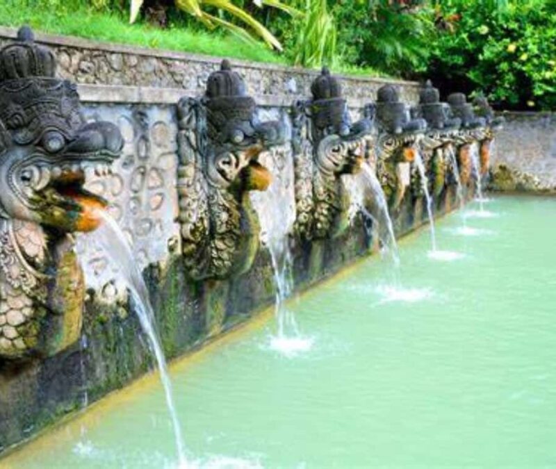 Lovina: Dolphin Watching Day Tour with Snorkeling - FAQs