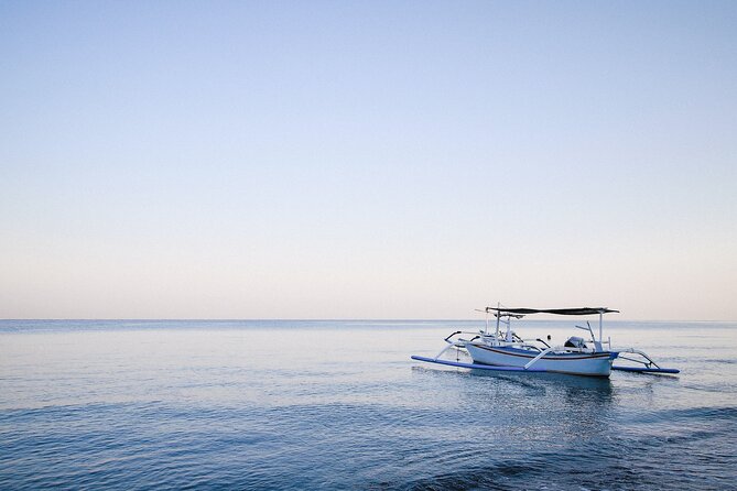 Lovina Dolphin Watching, Snorkeling and Waterfall Tour in Bali - Itinerary Overview