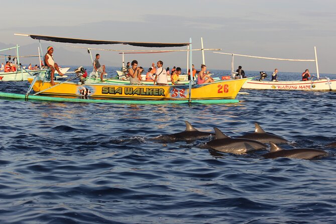 Lovina Dolphin Watching, Snorkeling & Munduk Waterfall - Pricing and Booking Details