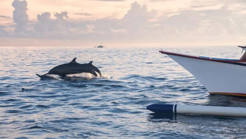 Lovina: Dolphin Watching Snorkeling Tour And Ocean Swing - Authenticity and Safety