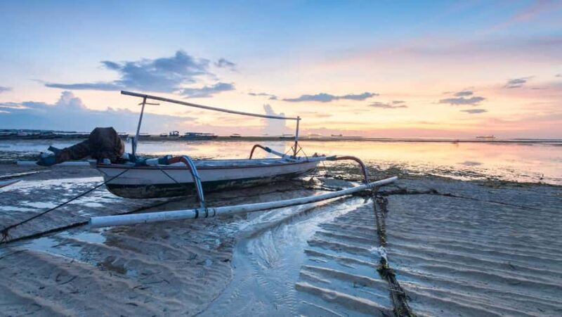 Lovina: Dolphin Watching Snorkeling Tour And Ocean Swing - Who Will Love This Tour?