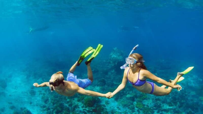 Lovina: Dolphin Watching Snorkeling Tour And Ocean Swing - FAQ