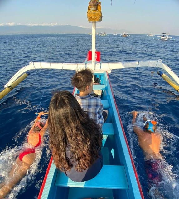 Lovina Dolphin Watching + Swimming With Dolphin Private Tour - Key Points