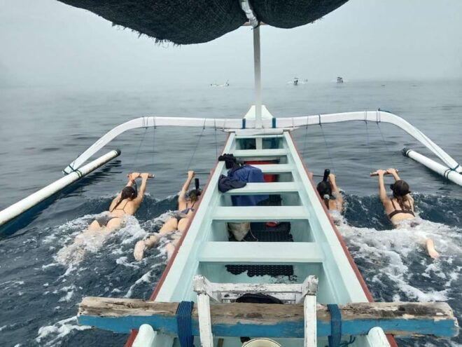 Lovina Dolphin Watching + Swimming With Dolphin Private Tour - Inclusions