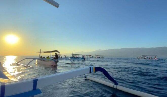 Lovina Dolphin Watching + Swimming With Dolphin Private Tour - Customer Feedback