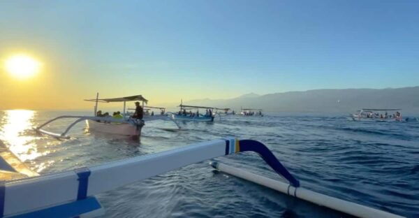 Lovina Dolphin Watching + Swimming With Dolphin Private Tour - Questions You May Have