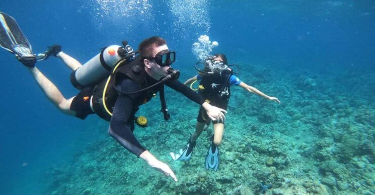 Lovina : Lovina Diving & Lovina Snorkeling Reef - Snorkeling at Lovina Reef