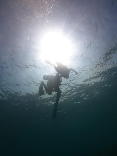 Lovina : Lovina Diving & Lovina Snorkeling Reef - Menjangan Island Diving Experience