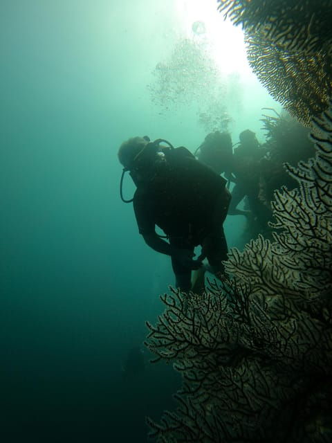 Lovina : Lovina Diving & Lovina Snorkeling Reef - Equipment and Inclusions