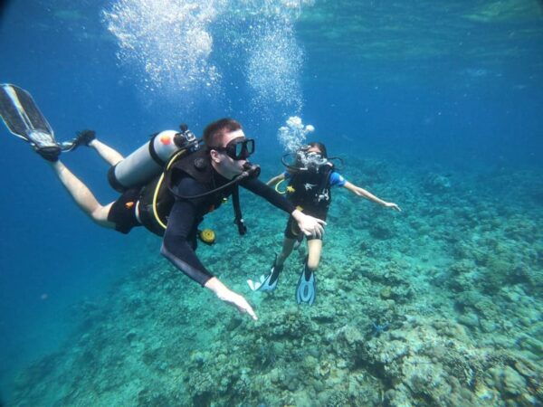 Lovina : Lovina Diving & Lovina Snorkeling Reef - What to Expect Underwater