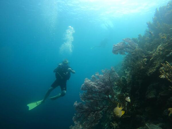 Lovina : Lovina Diving & Lovina Snorkeling Reef - Questions You May Have