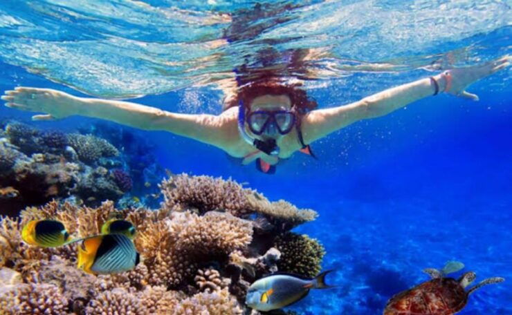 Lovina/Munduk: Snorkeling,Dolphin & Waterfall Fun Activities - Highlights
