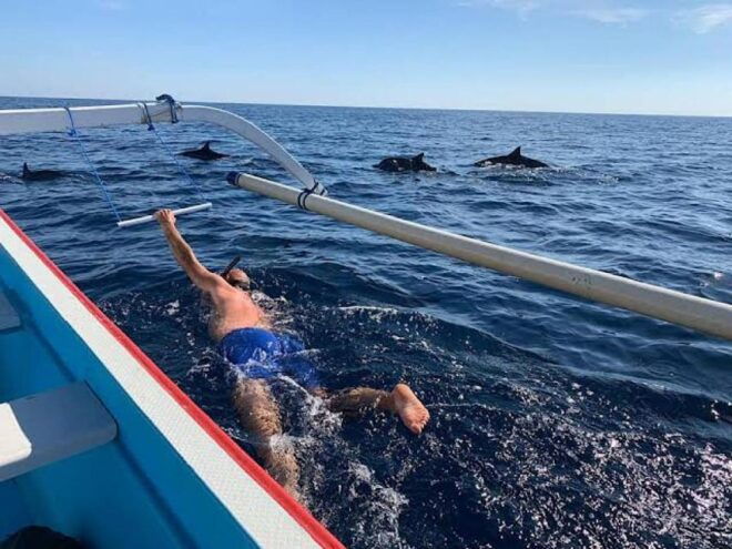 Lovina/Munduk: Snorkeling,Dolphin & Waterfall Fun Activities - Full Description