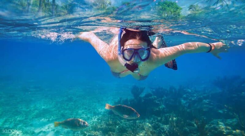 Lovina Package Tours ( Inclusive ) - FAQ