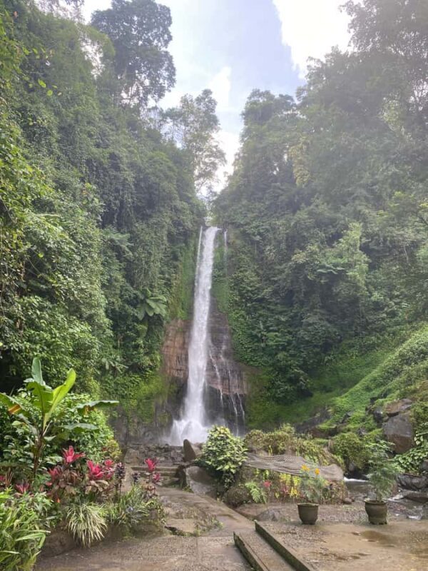 Lovina: Private Fishing Trip, Dolphin Watching, & Waterfall - The Sum Up