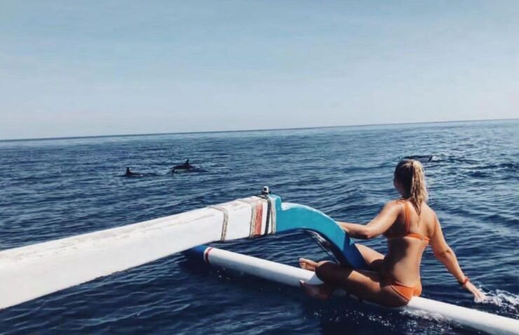 Lovina : Sunrise Dolphin Tour Snorkeling, Waterfall & Temple - Booking Details