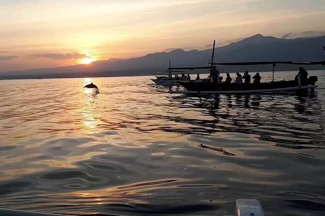 Lovina Sunrise Dolphin With Option Snorkeling and Waterfall - Tour Inclusions and Highlights